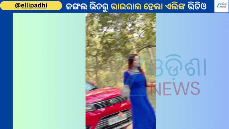 Odia Actress Elli Padhi: ଜଙ୍ଗଲ ଭିତରୁ ଭାଇରାଲ ହେଲା ଅଭିନେତ୍ରୀ ଏଲି ପାଢୀଙ୍କ ଏହି ଭିଡିଓ 