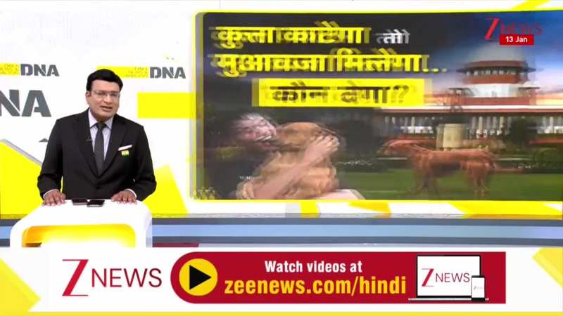 DNA: डॉग्स पर SC के नए फैसले का विश्लेषण। Supreme Court। Dog Lovers। Zee News