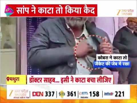 जैकेट की जेब से शख्स ने अस्पताल में निकाला कोबरा, बोला- इसी ने मुझे काटा, जल्दी इलाज करो डॉक्टर