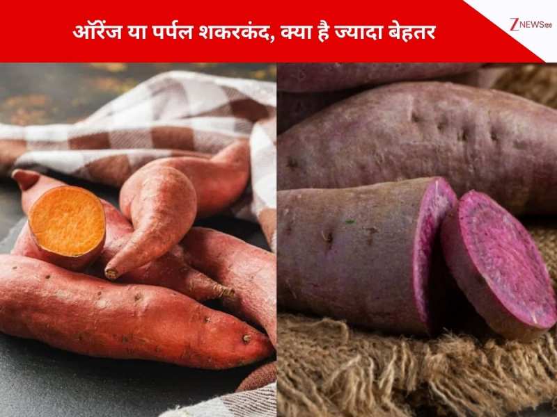 ऑरेंज या पर्पल शकरकंद, कलर देखकर ना हो कंफ्यूज, जान लें सेहत के लिए क्या है बेहतर