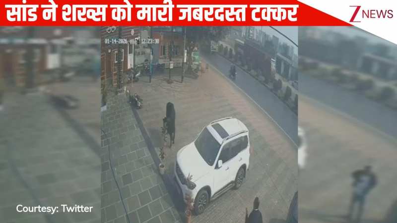 सामने से गुस्साए सांड ने शख्स पर किया हमला, जान बचाकर भागने का भी नहीं मिला मौका, सीसीटीवी में कैद हुई घटना