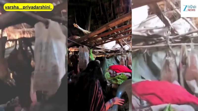Varsha Viral Video: ଭାଇରାଲ ହେଲା ଅଭିନେତ୍ରୀ ବର୍ଷା ପ୍ରିୟଦର୍ଶିନଙ୍କ ଏହି ଭିଡିଓ...