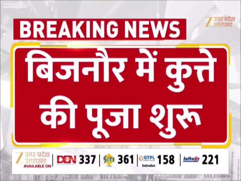 हनुमान और मां दुर्गा का भक्त बना कुत्ता, बाबा भैरव का रूप मानकर हो रही पूजा