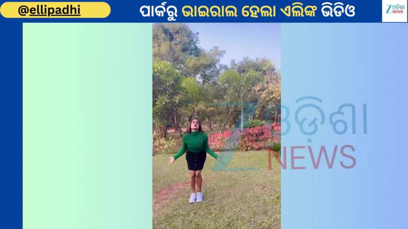 Elli Padhi Dance: ରଚନା ସିଦ୍ଧାନ୍ତଙ୍କ ସୁପରହିଟ୍ ଗୀତରେ ନାଚି ଭାଇରାଲ ହେଲେ ଅଭିନେତ୍ରୀ ଏଲି ପାଢୀ