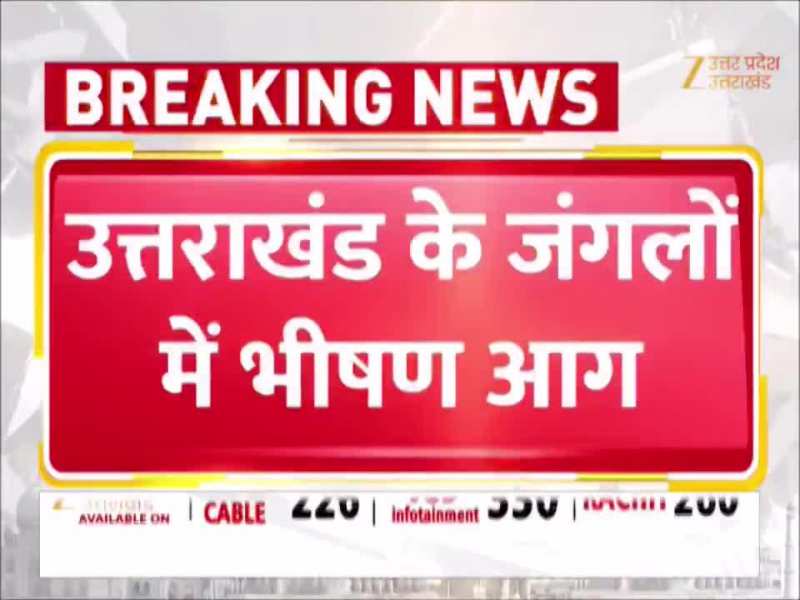 Chamoli Forest Fire: पिछले 6 दिन से धधक रही जंगल में आग, लपटों को बुझाने उतरेगी वायुसेना; देखें वीडियो