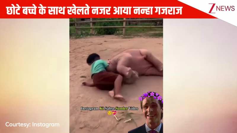 जैसे ही बच्चे ने हाथी को दिखाई गन, धड़ाम से जमीन पर गिरा नन्हा गजराज, मासूमियत पर पिघला यूजर्स का दिल: VIRAL