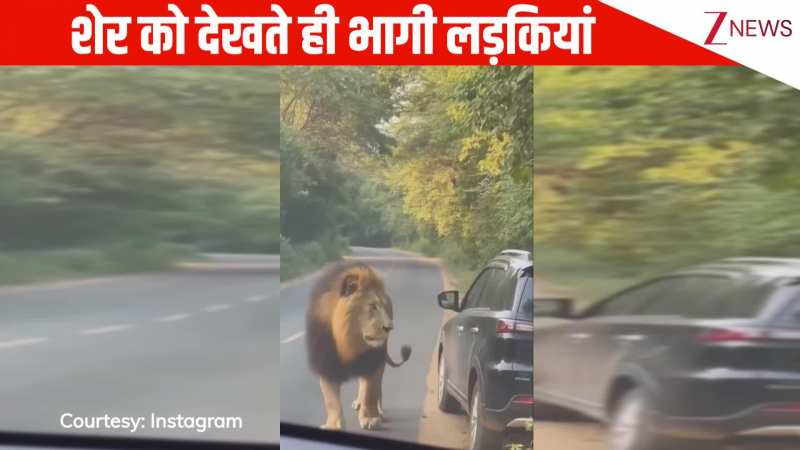 सामने से आ रही थी मौत...जंगल के राजा को देखते ही लड़कियों में डर का माहौल, देखिए ये खौफनाक AI वीडियो