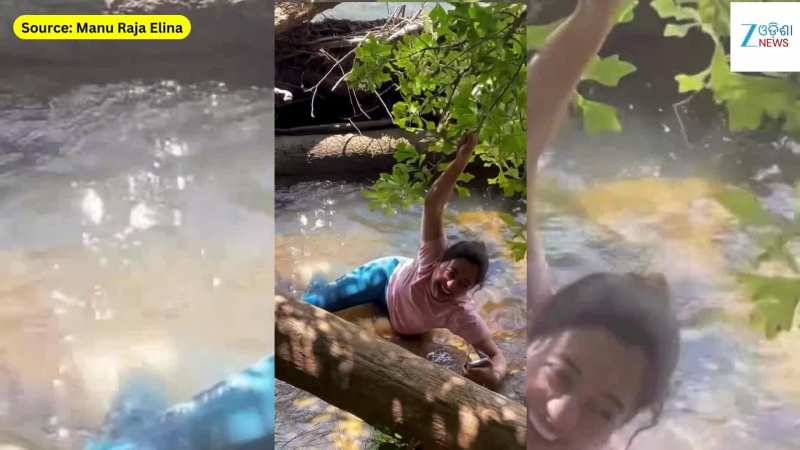 Viral Video: କଚାଡ଼ି ହୋଇ ପଡ଼ିଲେ ଅଭିନେତ୍ରୀ ଏଲିନା ସାମନ୍ତରାୟ, ଭିଡିଓ ଭାଇରାଲ...