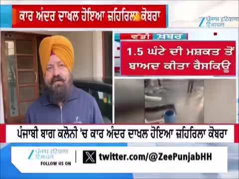 ਪੰਜਾਬੀ ਬਾਗ ਕਲੋਨੀ 'ਚ ਕਾਰ ਅੰਦਰ ਦਾਖਲ ਹੋਇਆ ਜ਼ਹਿਰਲਾ ਕੋਬਰਾ