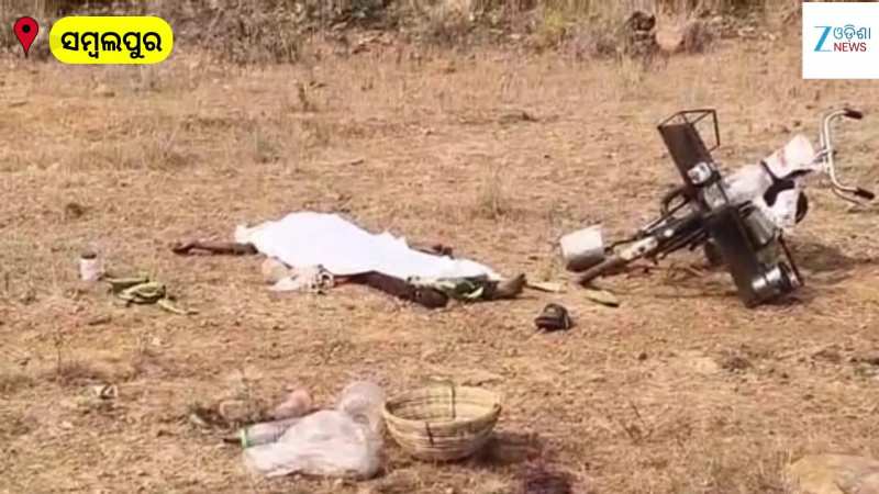 Crime Video: ଅତି ନିର୍ମମ ଭାବେ ନେଲେ ଗୁପଚୁପ ବିକାଳୀଙ୍କ ଜୀବନ, ଦେଖନ୍ତୁ ଏହି ଭିଡିଓ...