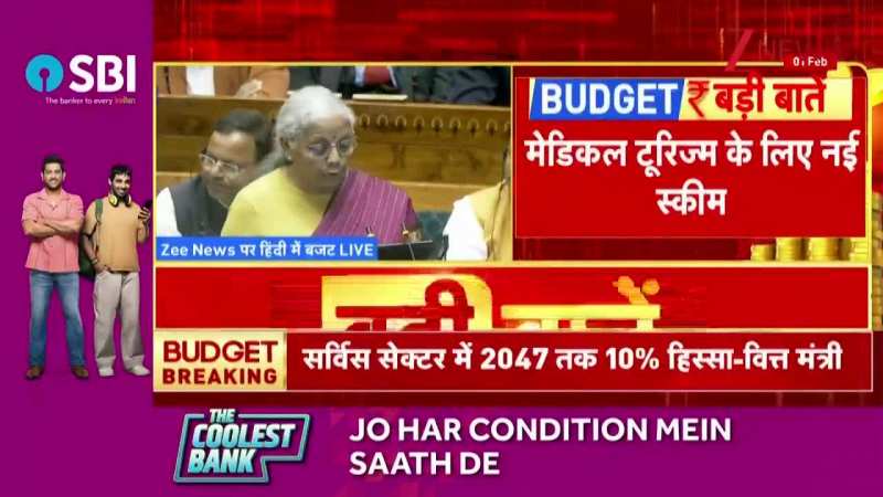 Budget 2026: 'महात्मा गांधी हैंडलूम योजना' करेंगे शुरू, गांव के लिए बड़ी योजनाओं का ऐलान