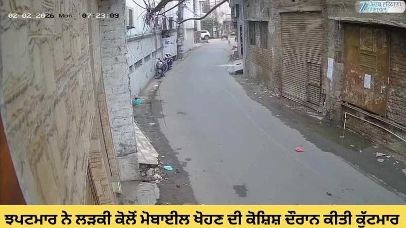 ਝਪਟਮਾਰ ਨੇ ਲੜਕੀ ਕੋਲੋਂ ਮੋਬਾਈਲ ਖੋਹਣ ਦੀ ਕੋਸ਼ਿਸ਼ ਦੌਰਾਨ ਕੀਤੀ ਕੁੱਟਮਾਰ