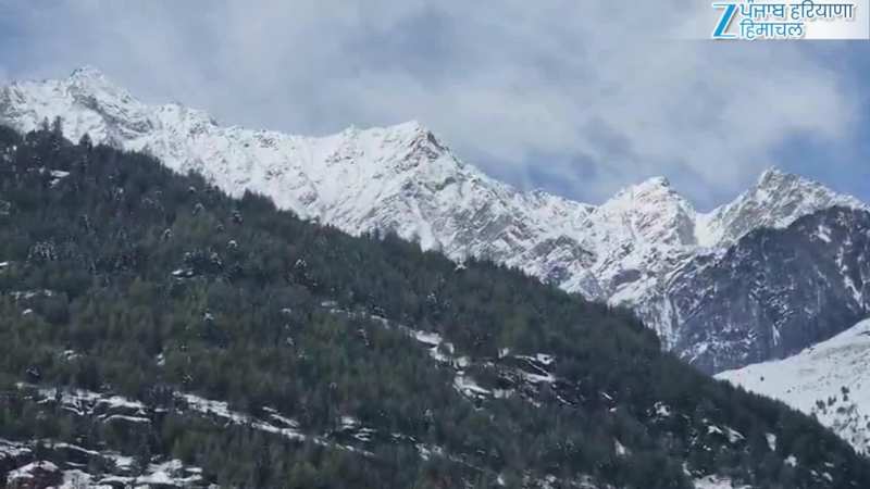 सफेद चादर में लिपटा मनाली शहर, वीडियो में देखें ताजा बर्फबारी 