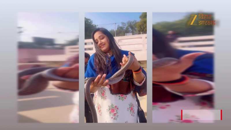 VIDEO: काले नाग को हाथ से पकड़कर खेलती नजर आयी काजल राघवानी!