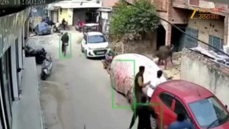 सांड ने लड़की को पैरों तले रौंदा, अखिलेश यादव ने वीडियो शेयर कर भाजपा पर साधा निशाना