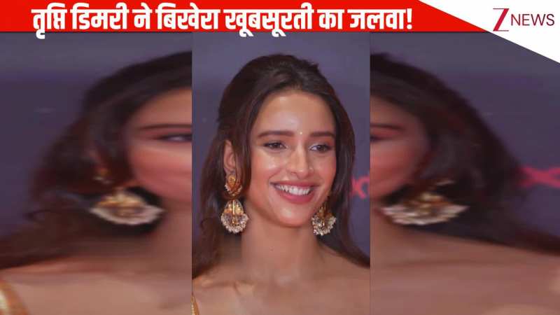 येलो ट्रेडिशनल आउटफिट में Tripti Dimri ने बिखेरा खूबसूरती का जलवा, दिलकश अदाओं ने बढ़ाई फैंस की दीवानगी!