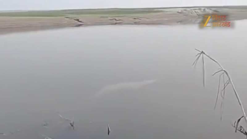 VIDEO: गंडक नदी में दिखी डॉल्फिन, वीडियो बनाने के लिए उमड़ी भीड़