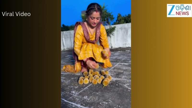 Video: ଛାତ ଉପରୁ ଭାଇରାଲ୍ ହେଲା ଅଭିନେତ୍ରୀ ଏଲିନାଙ୍କ ଭିଡିଓ