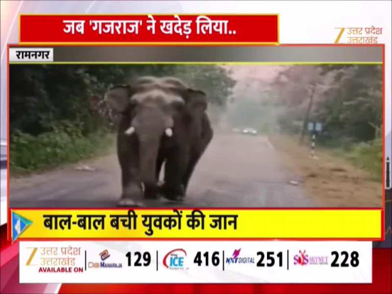 Watch Video: हाथी से छेड़खानी युवकों को पड़ी भारी, गुस्साए गजराज ने दूर तक दौड़ाया, मुश्किल से बची जान