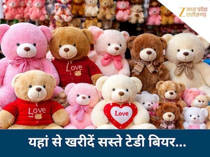 दिल्ली के सदर बाजार जैसा सस्ता...भोपाल और इंदौर के इन मार्केट्स में मिलते हैं बिल्कुल कम दाम में टेडी बियर