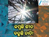 Odisha Weather Update: କମୁଛି ଶୀତ, ବଢୁଛି ତାତି! 