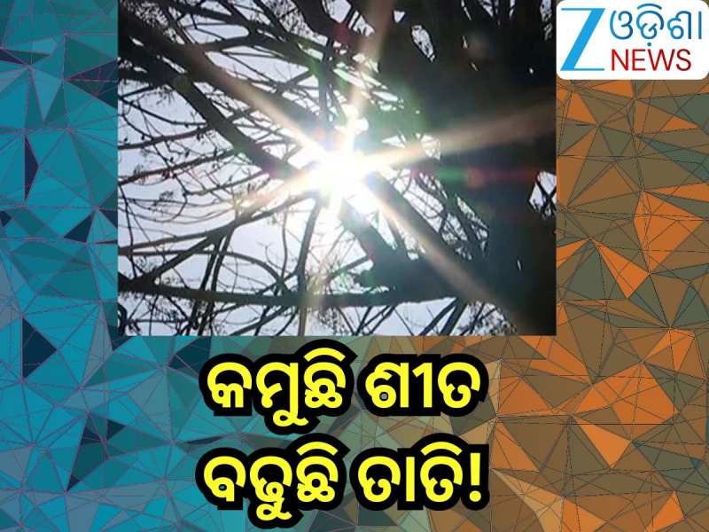 Odisha Weather Update: କମୁଛି ଶୀତ, ବଢୁଛି ତାତି!