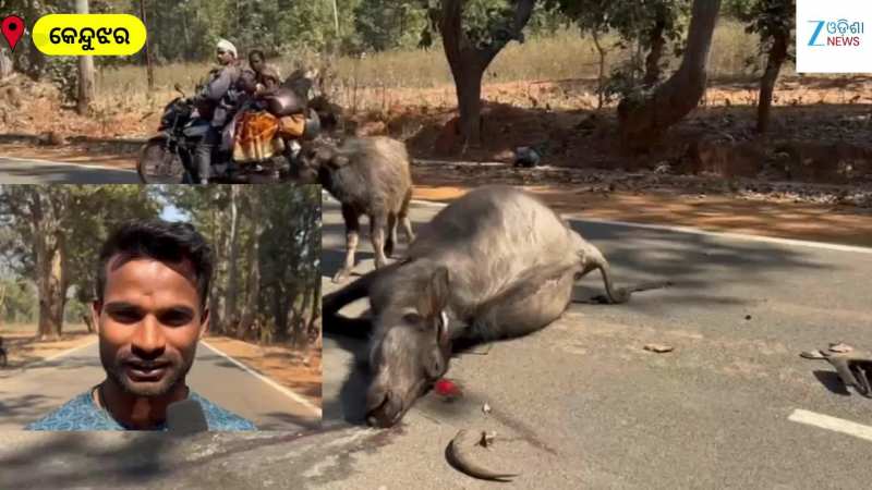 VIDEO: ଛୁଆ ଆଗରେ ଚାଲିଗଲା ମାଆର ଜୀବନ, ଦେଖନ୍ତୁ ଏହି ଭିଡିଓ...