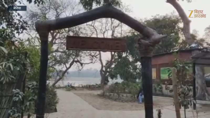 Bettiah News: बेतिया के उदयपुर झील में साइबेरियन पक्षियों का लगा जामवाड़ा, हजारों किमी दूर से आए है पक्षी