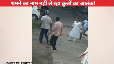 फोन पर बात कर रही महिला पर कुत्ते ने अचानक किया हमला, पूरे इलाके में मच गई चीख-पुकार, पड़ोसी हुए इकट्ठा: VIRAL