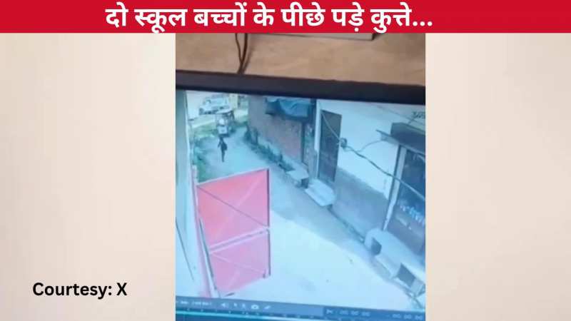 दो स्कूल बच्चों के पीछे पड़े कुत्ते, भागने पर लड़कों पर किया हमला और धर दबोचा, सीसीटीवी में कैद हुई घटना