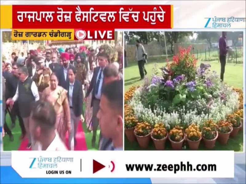 ‘ਸਿਟੀ ਬਿਊਟੀਫੁੱਲ’ ਵਿੱਚ ਸ਼ੁਰੂ ਹੋਇਆ Rose Festival, ਰੰਗ-ਬਿਰੰਗੇ ਫੁੱਲਾਂ ਨਾਲ ਸੱਜਿਆ Rose Garden 