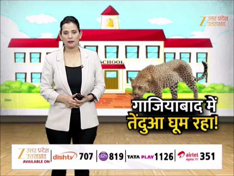 Watch Video: स्कूल में घुसा तेंदुआ, मच गया हड़कंप; देखिये वन विभाग ने कैसे किया रेस्क्यू