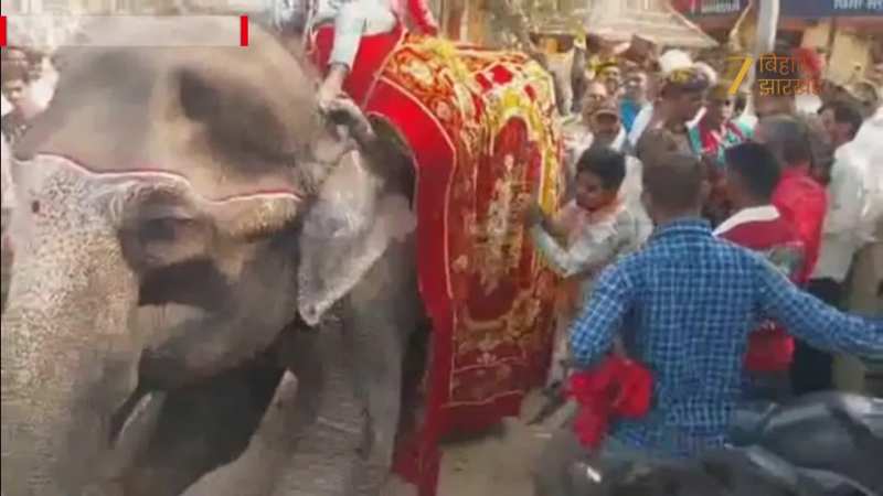 VIDEO: फूलों से सजी हाथी और बैंड-बाजा, लखीसराय में दूल्हे की तरह विदा हुए थानेदार