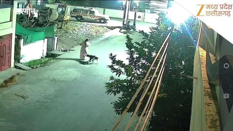 वॉक कर रही महिला पर स्ट्रीट डॉग्स ने किया हमला, दौड़ाकर गिराया फिर काटकर किया घायल