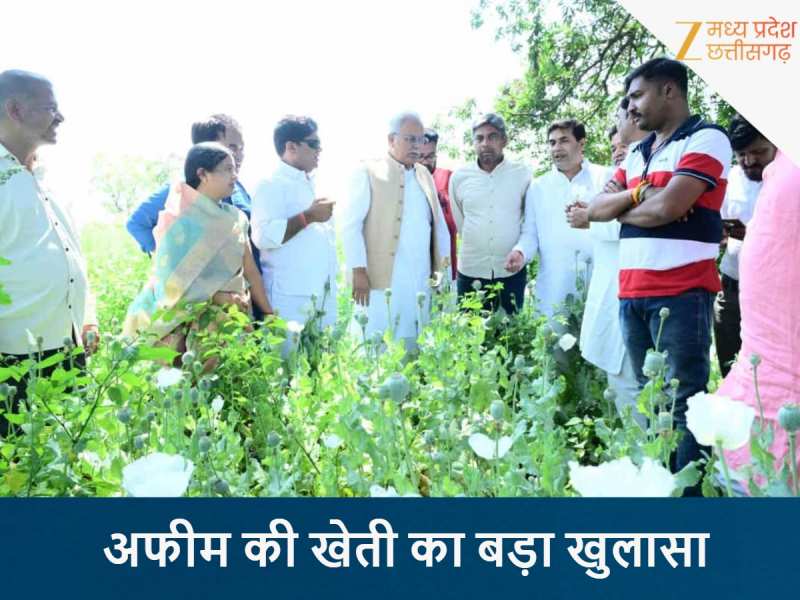 छत्तीसगढ़ बना नशे का गढ़? दुर्ग में अफीम की अवैध खेती पर भूपेश बघेल का बड़ा हमला