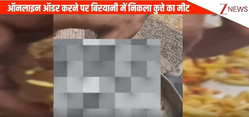 ऑनलाइन चिकन बिरयानी ऑर्डर करने पर हुआ हंगामा, शख्स का दावा, खाने में निकला कुत्ते का मीट, वीडियो वायरल