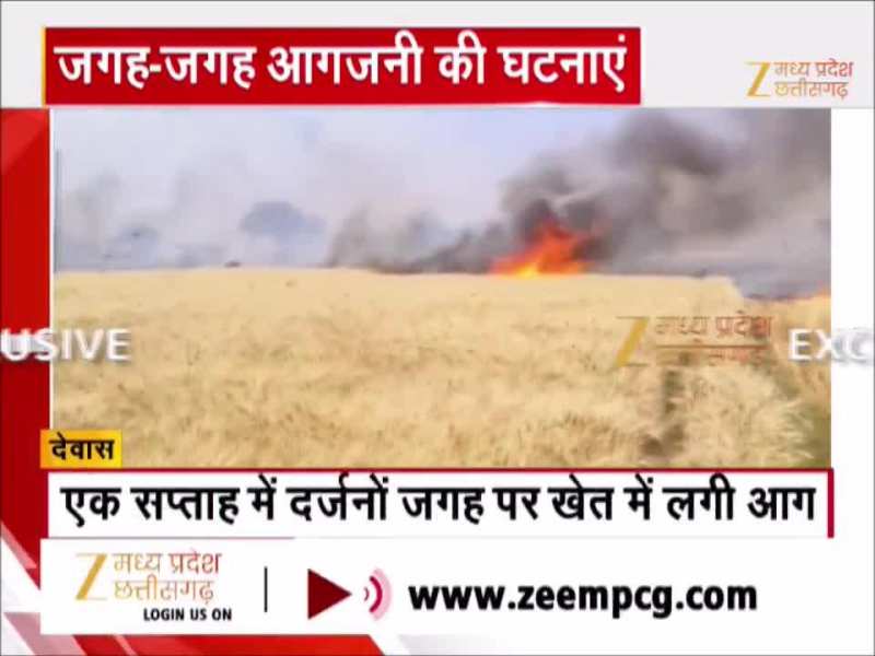 देवास जिले में किसान को भारी नुकसान, 6-8 बीघा गेहूं की फसल जलकर खाक, देखें Video