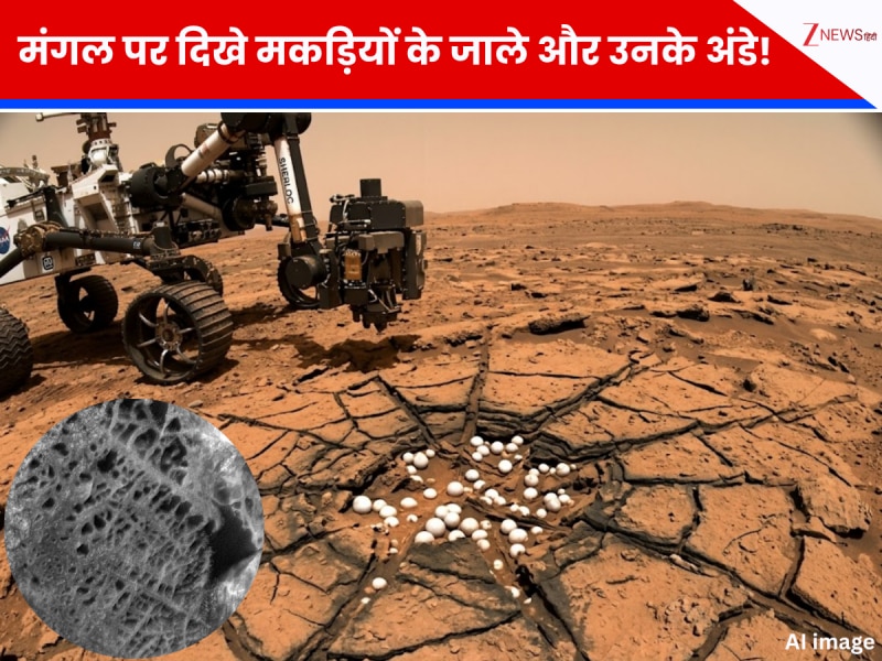 मंगल पर दिखे मकड़ियों के जाले और उनके अंडे! NASA के रोवर ने खींची दुनिया को हैरान करने वाली फोटो, जानें इन डरावनी तस्वीरों का सच