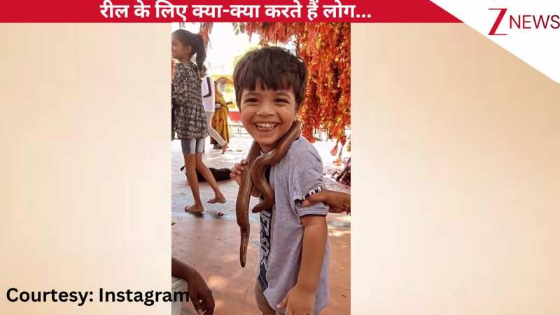 आजकल लोग रील के चक्कर में क्या-क्या करते हैं...वीडियो बनाने के लिए बच्चे के गले में डाला सांप, फिर जो हुआ आप भी देखिए