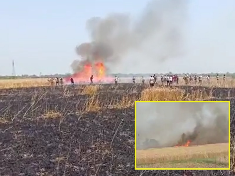 किसानों की साल भर की मेहनत बर्बाद! बक्सर में 15 बीघा तो मुंगेर में 10 बीघा गेहूं की फसल में लगी आग, जानें कारण