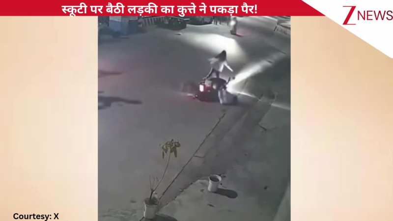 स्कूटी पर बैठी लड़की का आवारा कुत्ते ने पकड़ा पैर, बीच सड़क मत गई चीख पुकार, देवदूत बनकर आया शख्स, देखिए भयानक वीडियो