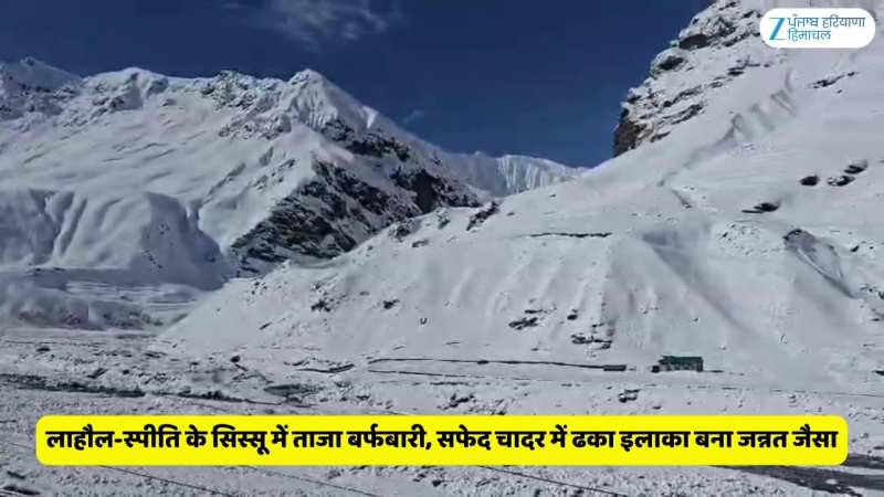 लाहौल-स्पीति के सिस्सू में ताजा बर्फबारी, सफेद चादर में ढका इलाका बना जन्नत जैसा