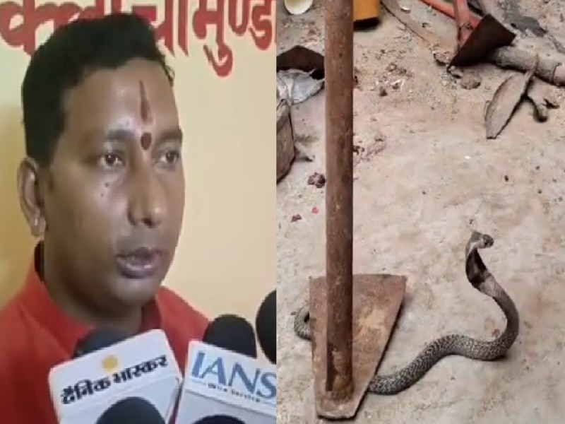 Kashipur News: आस्था और उत्सुकता का अनोखा संगम, मां बाल सुंदरी के दर पर पहुंचे दो कोबरा, प्रधान पंडा ने बताया चमत्कार