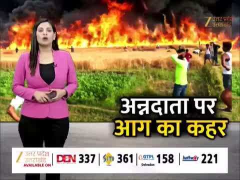 Watch Video: गोंडा में कई एकड़ फसल में लगी आग, किसानों की खून-पसीने की मेहनत हुई खाक