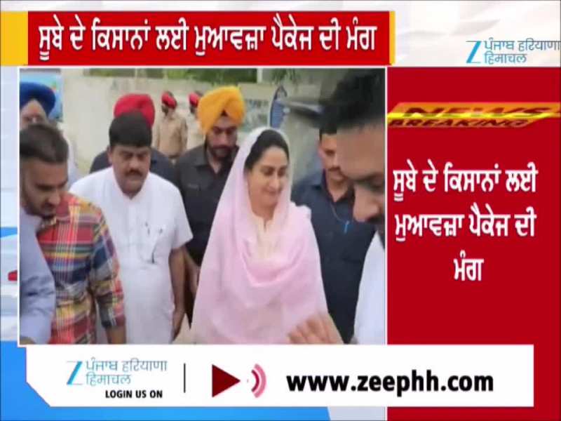 MP ਹਰਸਿਮਰਤ ਕੌਰ ਬਾਦਲ ਨੇ ਕੇਂਦਰ ਨੂੰ ਪੱਤਰ ਲਿੱਖ ਸੂਬੇ ਦੇ ਕਿਸਾਨਾਂ ਲਈ ਮੁਆਵਜ਼ਾ ਪੈਕੇਜ ਦੀ ਕੀਤੀ ਮੰਗ