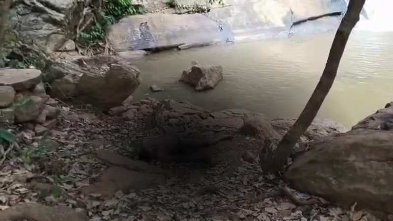 Accident Video: ଭିଣୋଇକୁ ବୁଲାଇବାକୁ ନେଇ ପାଣିରେ ବୁଡି ଚାଲିଗଲା ଶଳାଙ୍କ ଜୀବନ, ଦେଖନ୍ତୁ ଏହି ଭିଡିଓ...