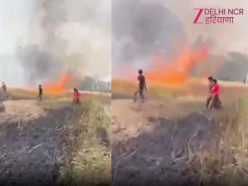 Haryana Fire: चिंगारी से लगी आग, 15 एकड़ गेहूं की फसल जलकर राख; पिहोवा में किसानों की मेहनत खाक