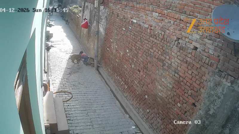 मासूम बच्चे पर आवारा कुत्ते ने किया हमला, बुरी तरह नोचा, CCTV में कैद हुई रोंगटे खड़े करने वाली घटना
