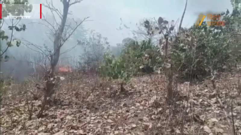 चतरा के कुंदा महादेव मठ के जंगलों में लगी भीषण आग, चारों ओर मची चीख-पुकार