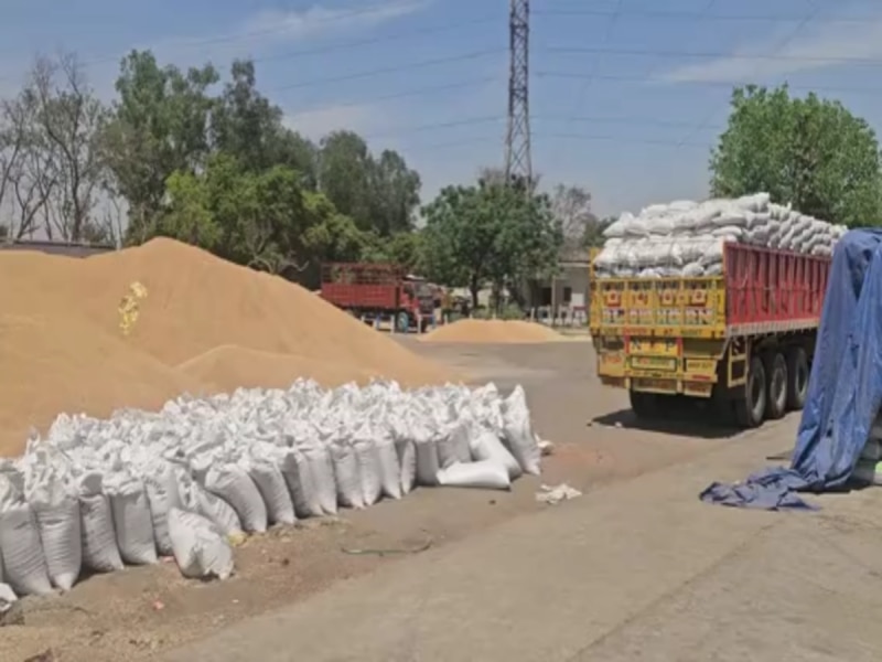 हरियाणा की मंडियों में गेहूं-सरसों के लगे ढेर: धीमी लिफ्टिंग से अटका किसानों का पैसा
